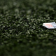 Illustration for article titled The NFL Concussion Settlement Keeps Failing People It's Supposed To Help